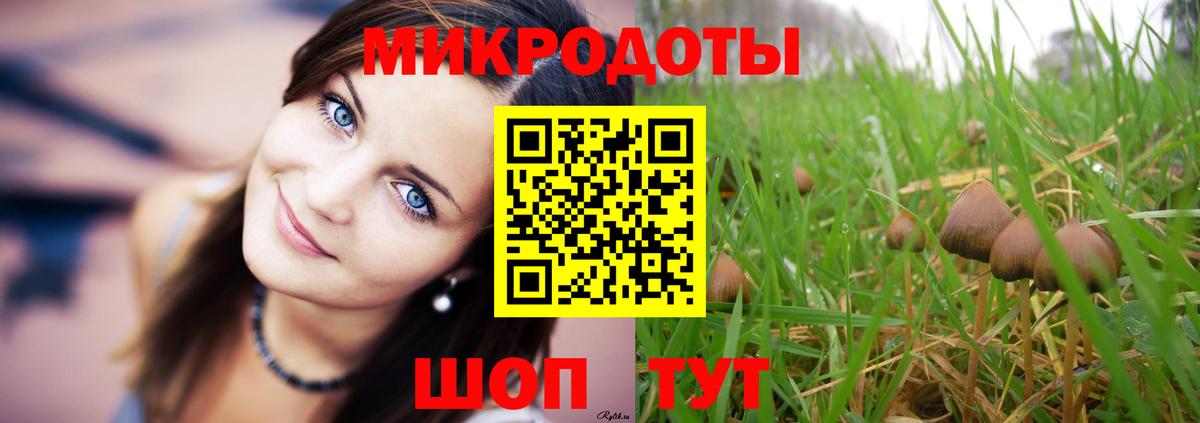Псилоцибиновые грибы Psilocybe Барнаул